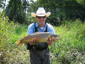 south holston fishing guides